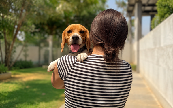 [Nutan Chauhan, Delhi · Dog]