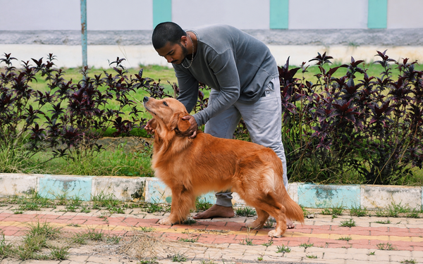 [Shankar Gandhi, Gujarat · Dog]
