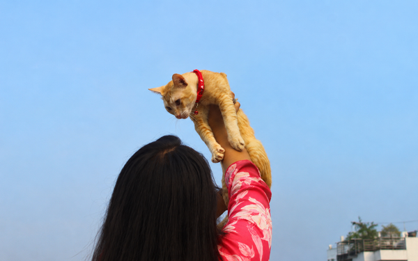 Anjali Prasad, Mumbai · Cat