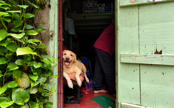 Arundhati Gogoi, Assam · Dog