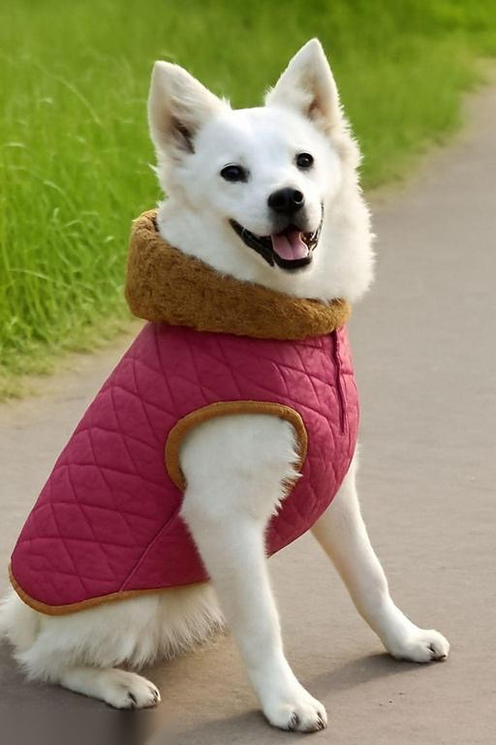 Shopzee Cosy Winter Jacket for Dogs