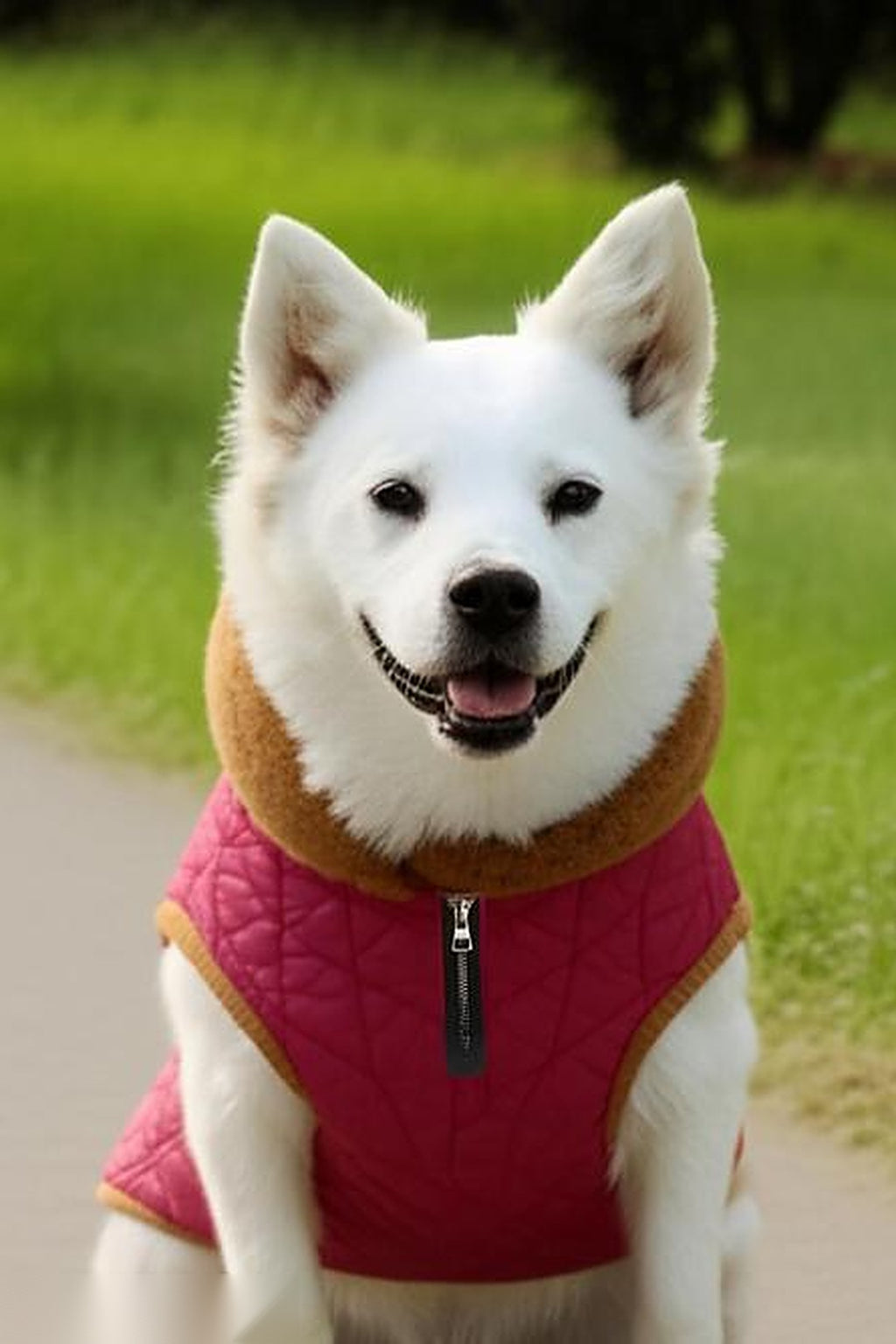 Shopzee Cosy Winter Jacket for Dogs
