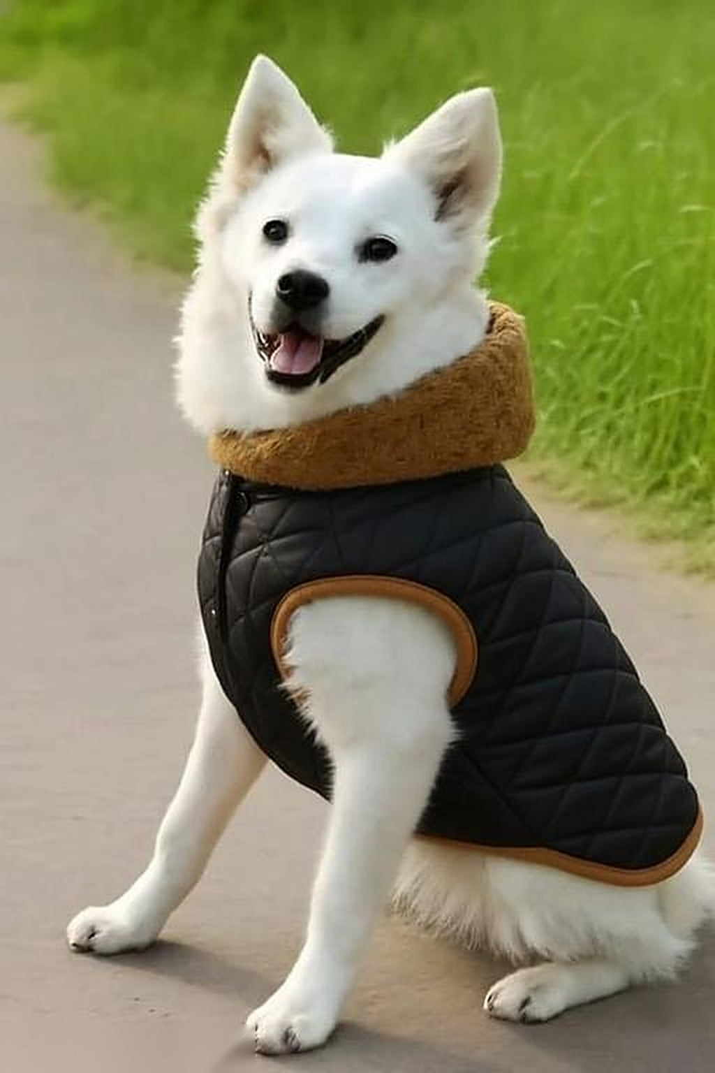 Shopzee Cosy Winter Jacket for Dogs