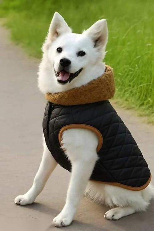 Shopzee Cosy Winter Jacket for Dogs