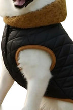 Shopzee Cosy Winter Jacket for Dogs