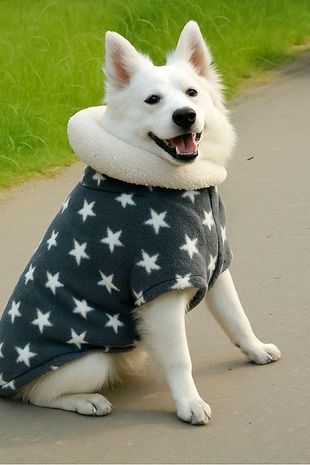 Shopzee Cosy Winter Jacket for Dogs