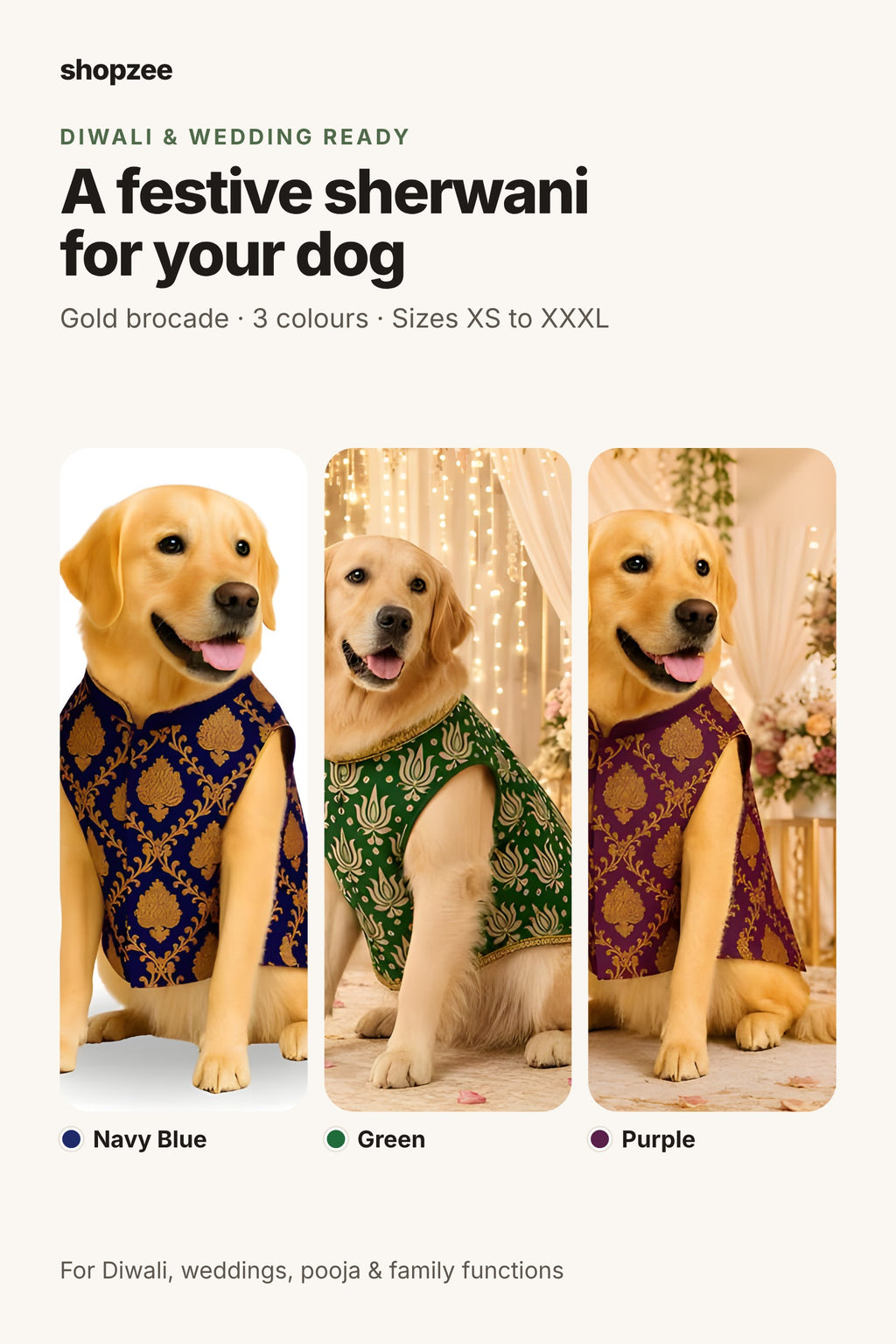 Royal Festive Sherwani for Dogs
