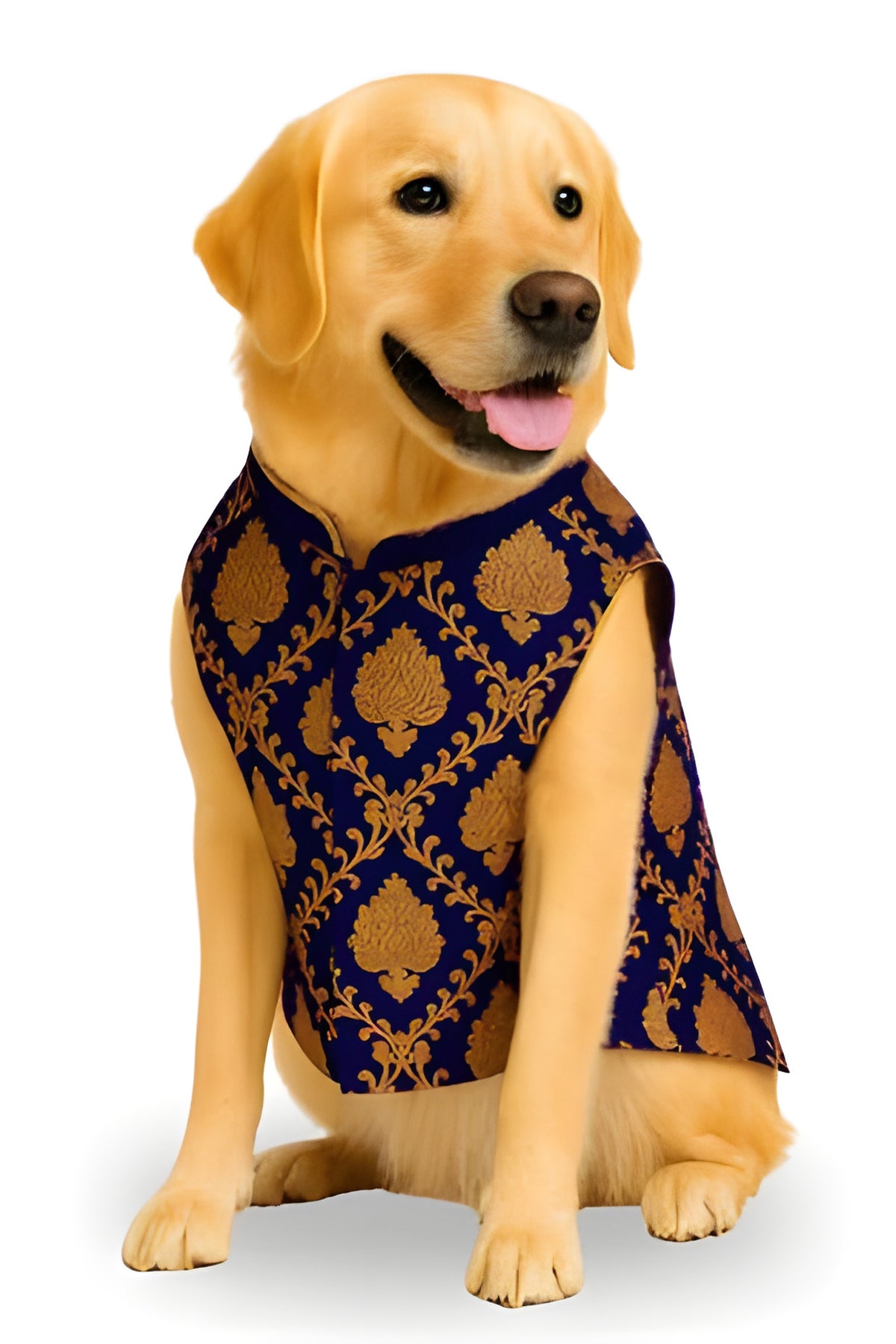 Royal Festive Sherwani for Dogs