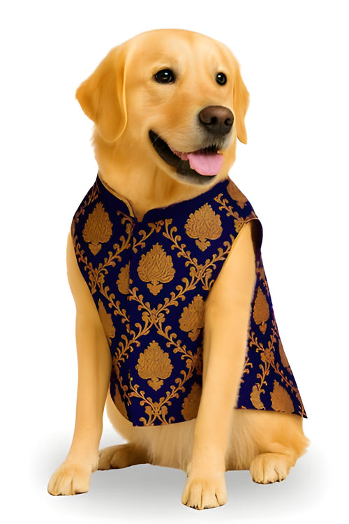Royal Festive Sherwani for Dogs