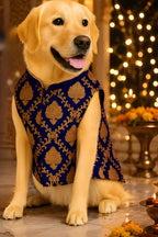 Royal Festive Sherwani for Dogs