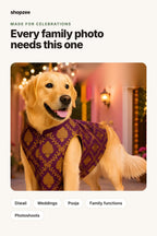 Royal Festive Sherwani for Dogs