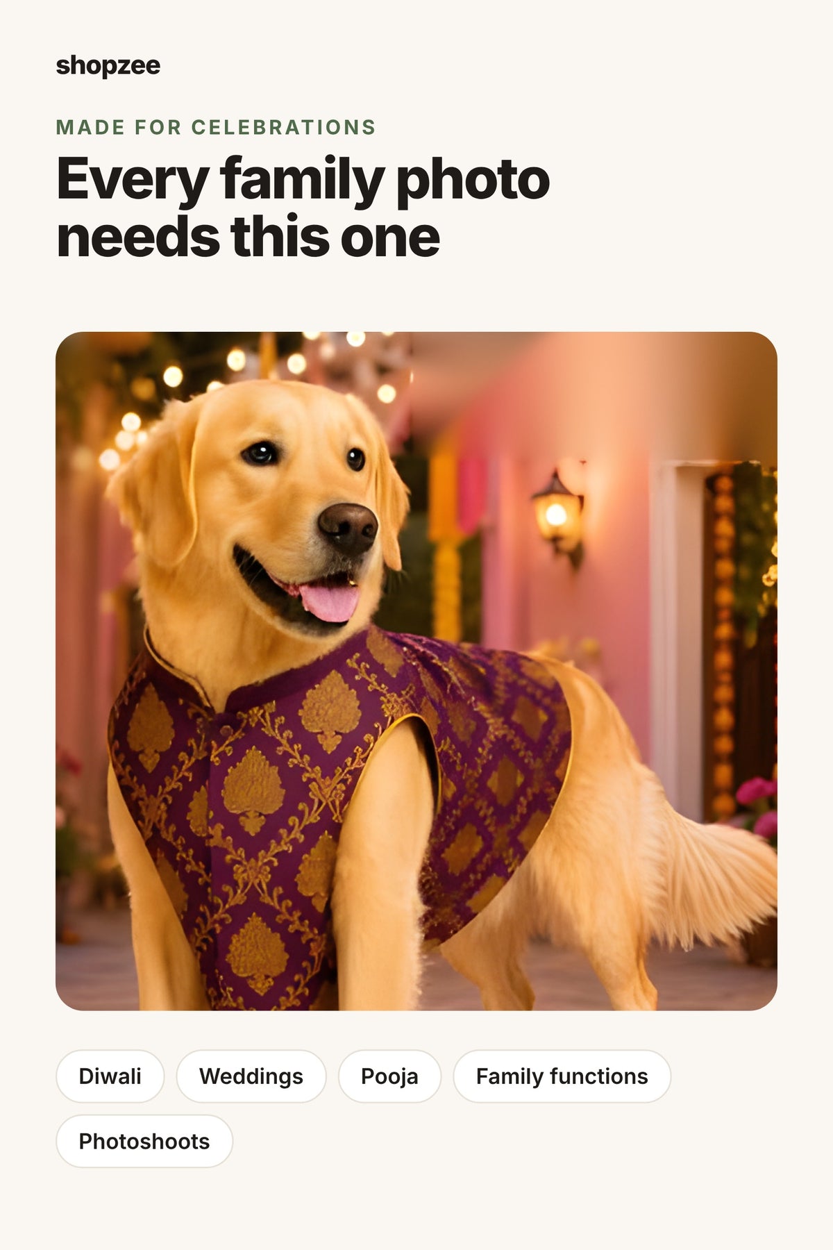 Royal Festive Sherwani for Dogs